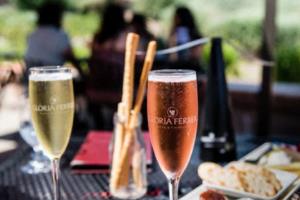 全球彩票销售额增长趋势与未来展望全球体育彩票销售额