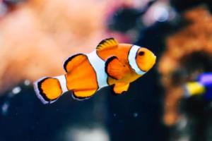 江西省体育彩票管理岗位招聘信息江西省体育彩票管理招聘